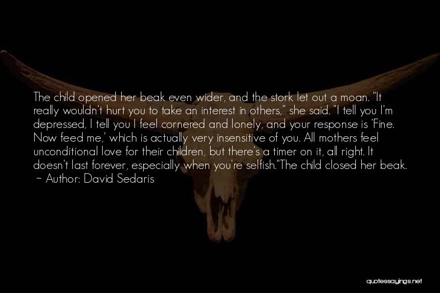 David Sedaris Quotes: The Child Opened Her Beak Even Wider, And The Stork Let Out A Moan. It Really Wouldn't Hurt You To