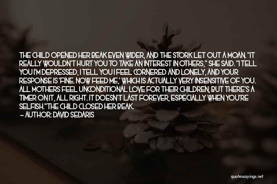 David Sedaris Quotes: The Child Opened Her Beak Even Wider, And The Stork Let Out A Moan. It Really Wouldn't Hurt You To