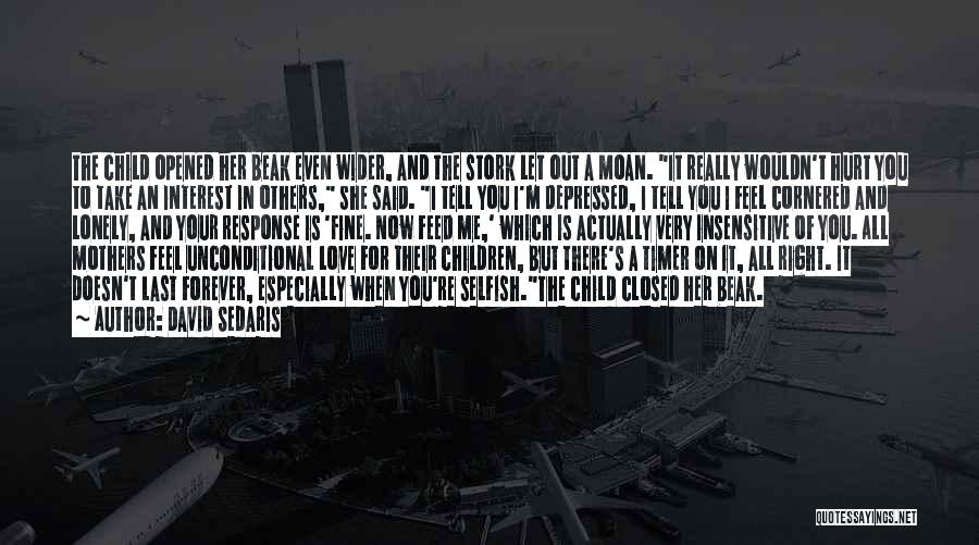 David Sedaris Quotes: The Child Opened Her Beak Even Wider, And The Stork Let Out A Moan. It Really Wouldn't Hurt You To