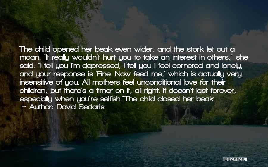 David Sedaris Quotes: The Child Opened Her Beak Even Wider, And The Stork Let Out A Moan. It Really Wouldn't Hurt You To