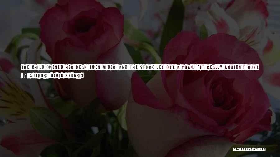 David Sedaris Quotes: The Child Opened Her Beak Even Wider, And The Stork Let Out A Moan. It Really Wouldn't Hurt You To