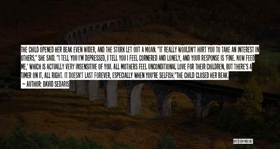 David Sedaris Quotes: The Child Opened Her Beak Even Wider, And The Stork Let Out A Moan. It Really Wouldn't Hurt You To