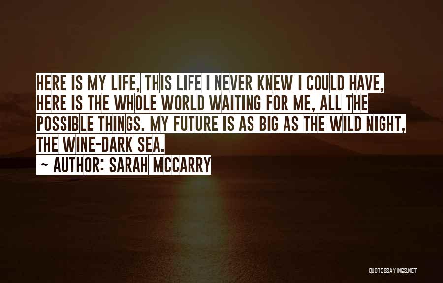 Sarah McCarry Quotes: Here Is My Life, This Life I Never Knew I Could Have, Here Is The Whole World Waiting For Me,