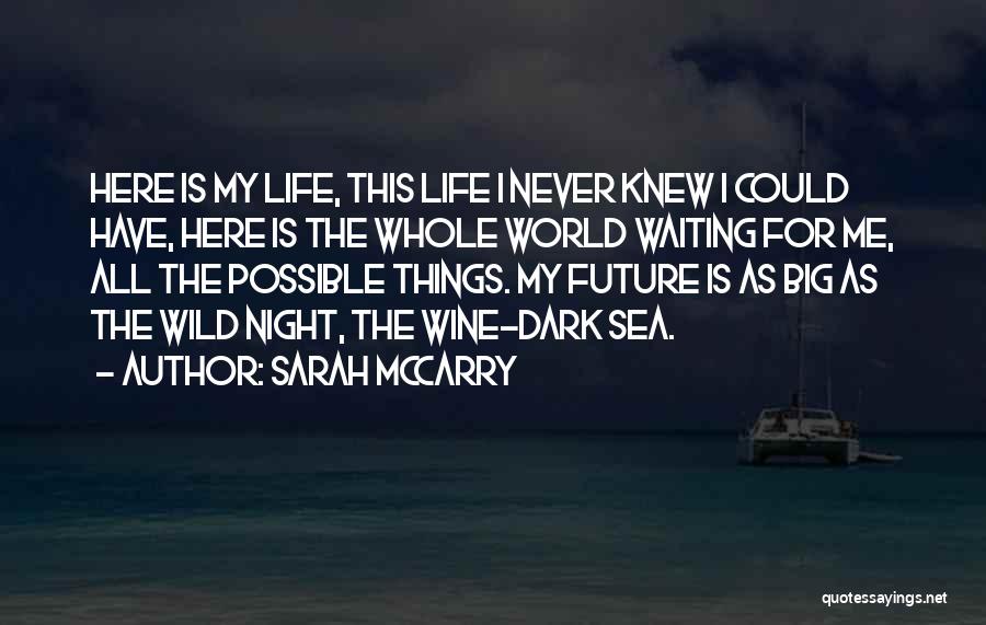 Sarah McCarry Quotes: Here Is My Life, This Life I Never Knew I Could Have, Here Is The Whole World Waiting For Me,