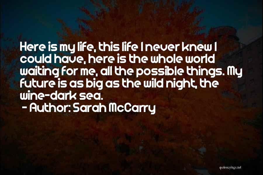 Sarah McCarry Quotes: Here Is My Life, This Life I Never Knew I Could Have, Here Is The Whole World Waiting For Me,