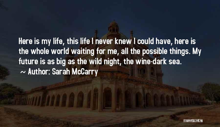 Sarah McCarry Quotes: Here Is My Life, This Life I Never Knew I Could Have, Here Is The Whole World Waiting For Me,