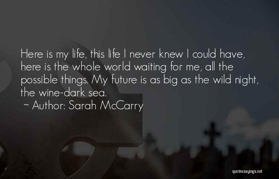 Sarah McCarry Quotes: Here Is My Life, This Life I Never Knew I Could Have, Here Is The Whole World Waiting For Me,