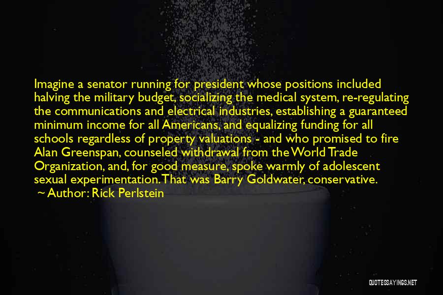 Rick Perlstein Quotes: Imagine A Senator Running For President Whose Positions Included Halving The Military Budget, Socializing The Medical System, Re-regulating The Communications