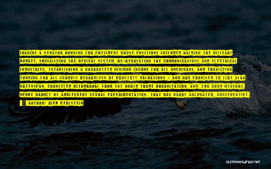 Rick Perlstein Quotes: Imagine A Senator Running For President Whose Positions Included Halving The Military Budget, Socializing The Medical System, Re-regulating The Communications