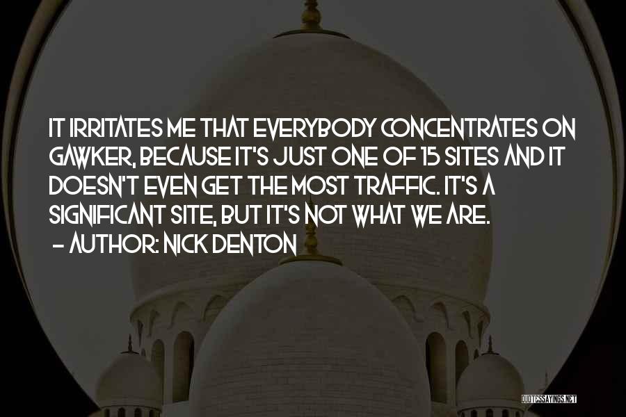 Nick Denton Quotes: It Irritates Me That Everybody Concentrates On Gawker, Because It's Just One Of 15 Sites And It Doesn't Even Get