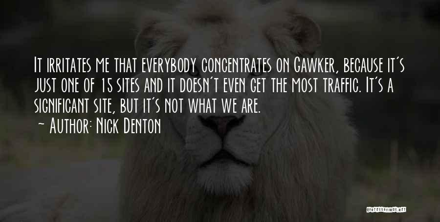Nick Denton Quotes: It Irritates Me That Everybody Concentrates On Gawker, Because It's Just One Of 15 Sites And It Doesn't Even Get