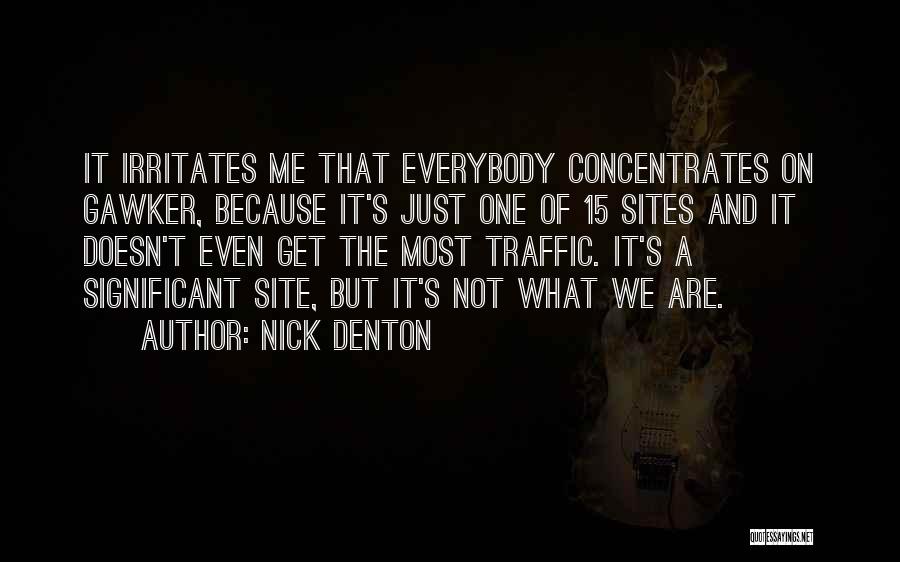 Nick Denton Quotes: It Irritates Me That Everybody Concentrates On Gawker, Because It's Just One Of 15 Sites And It Doesn't Even Get