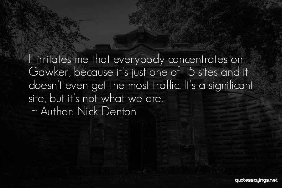 Nick Denton Quotes: It Irritates Me That Everybody Concentrates On Gawker, Because It's Just One Of 15 Sites And It Doesn't Even Get