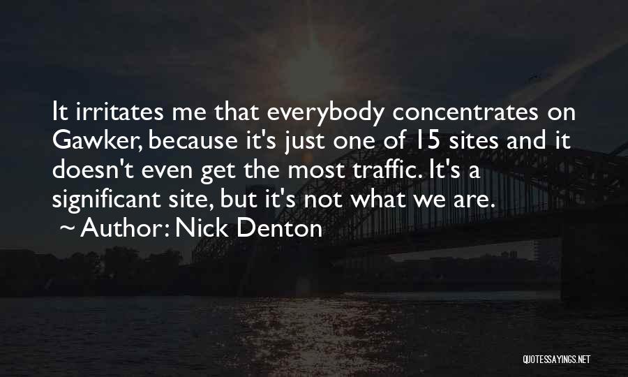 Nick Denton Quotes: It Irritates Me That Everybody Concentrates On Gawker, Because It's Just One Of 15 Sites And It Doesn't Even Get