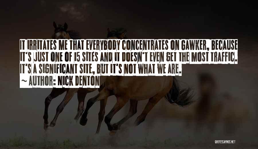 Nick Denton Quotes: It Irritates Me That Everybody Concentrates On Gawker, Because It's Just One Of 15 Sites And It Doesn't Even Get