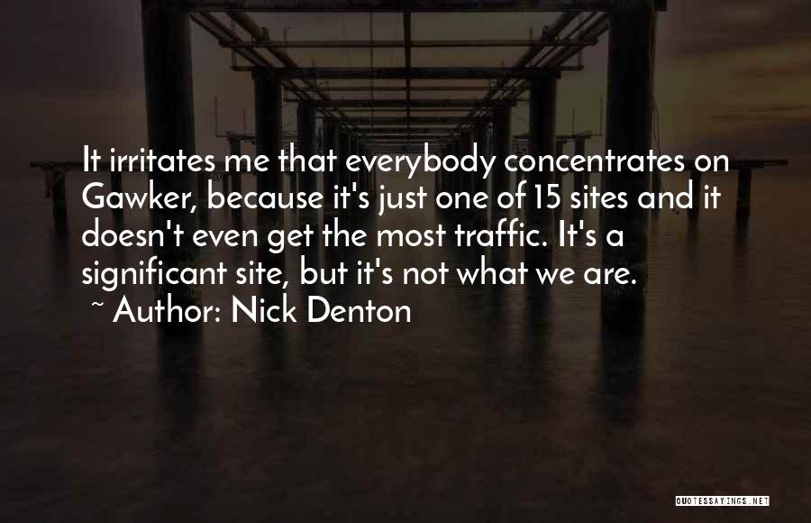 Nick Denton Quotes: It Irritates Me That Everybody Concentrates On Gawker, Because It's Just One Of 15 Sites And It Doesn't Even Get