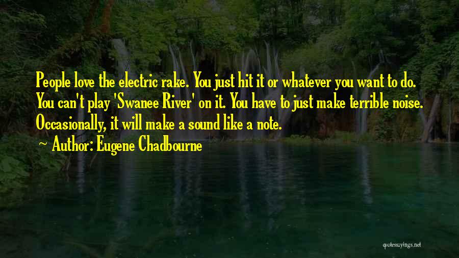 Eugene Chadbourne Quotes: People Love The Electric Rake. You Just Hit It Or Whatever You Want To Do. You Can't Play 'swanee River'