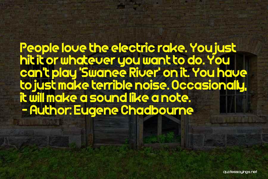 Eugene Chadbourne Quotes: People Love The Electric Rake. You Just Hit It Or Whatever You Want To Do. You Can't Play 'swanee River'