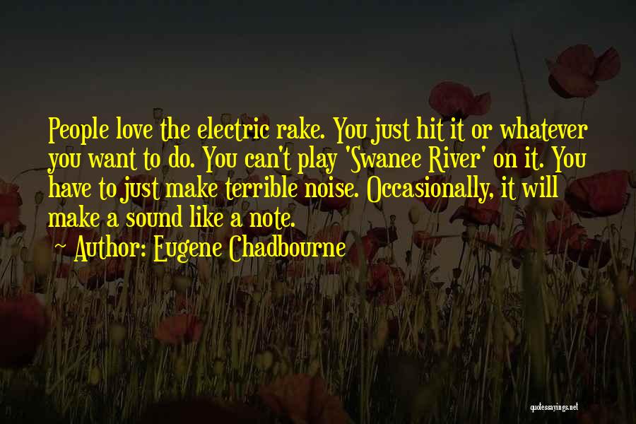 Eugene Chadbourne Quotes: People Love The Electric Rake. You Just Hit It Or Whatever You Want To Do. You Can't Play 'swanee River'
