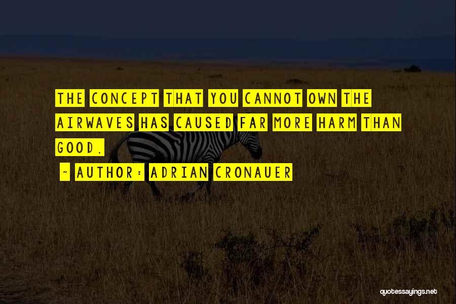 Adrian Cronauer Quotes: The Concept That You Cannot Own The Airwaves Has Caused Far More Harm Than Good.