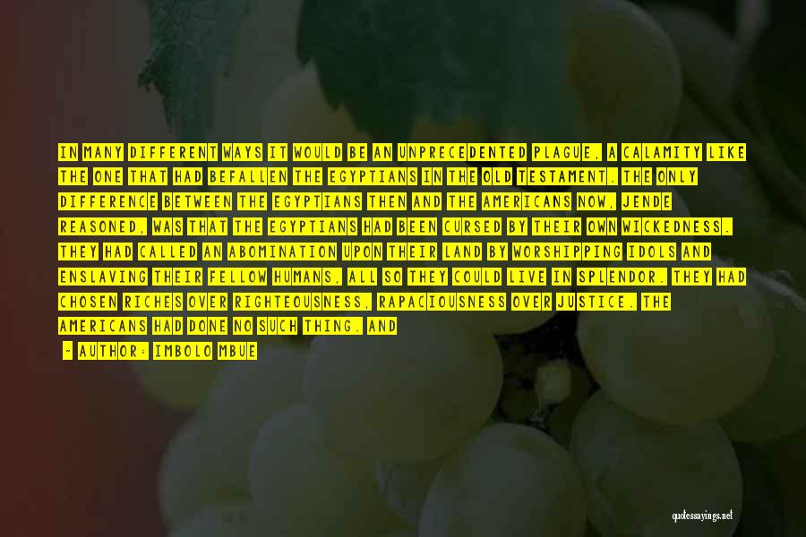 Imbolo Mbue Quotes: In Many Different Ways It Would Be An Unprecedented Plague, A Calamity Like The One That Had Befallen The Egyptians