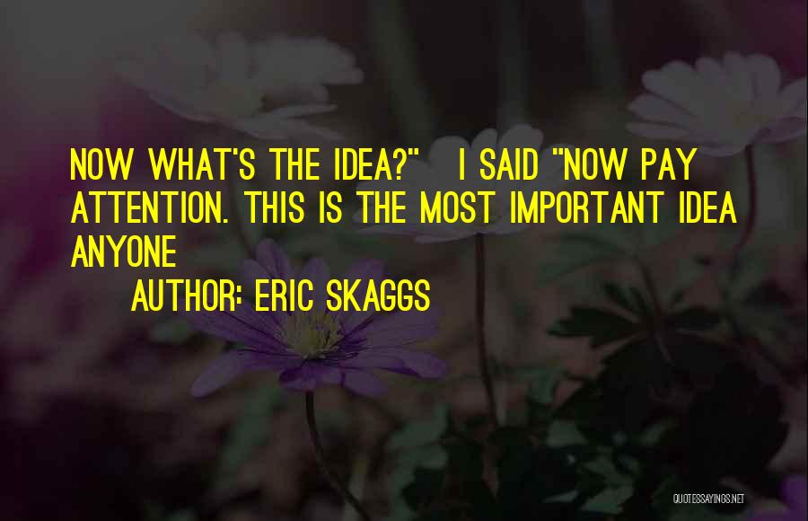 Eric Skaggs Quotes: Now What's The Idea? I Said Now Pay Attention. This Is The Most Important Idea Anyone