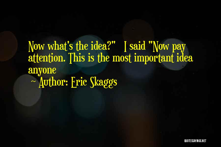 Eric Skaggs Quotes: Now What's The Idea? I Said Now Pay Attention. This Is The Most Important Idea Anyone