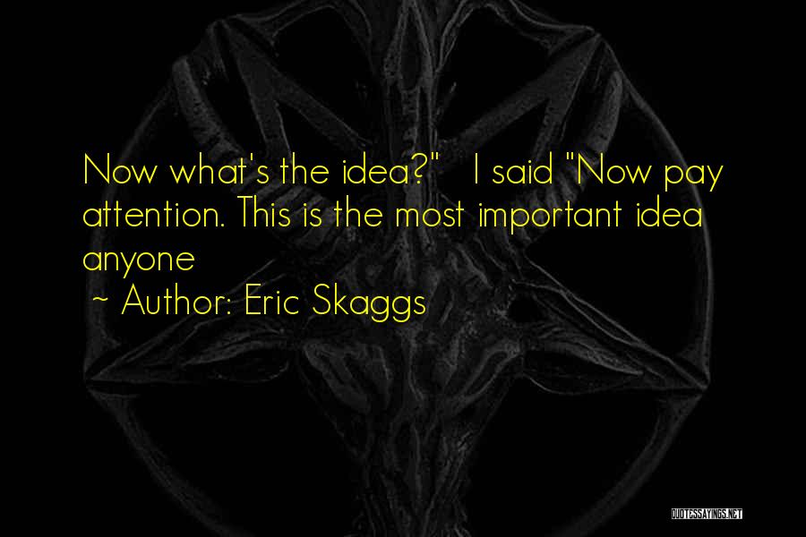 Eric Skaggs Quotes: Now What's The Idea? I Said Now Pay Attention. This Is The Most Important Idea Anyone