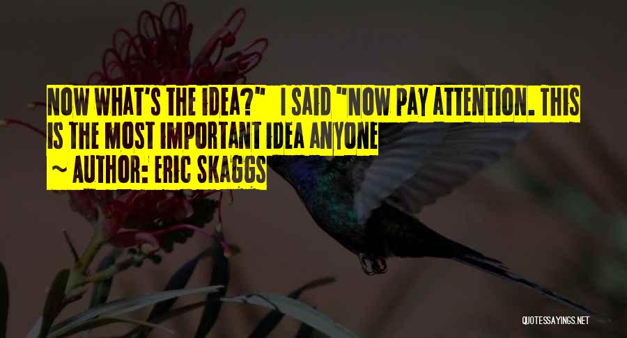 Eric Skaggs Quotes: Now What's The Idea? I Said Now Pay Attention. This Is The Most Important Idea Anyone