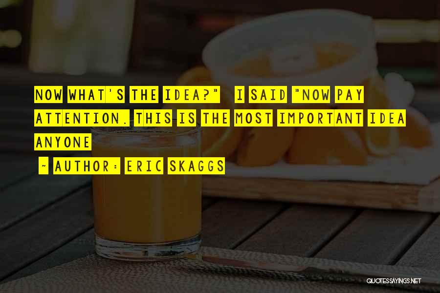 Eric Skaggs Quotes: Now What's The Idea? I Said Now Pay Attention. This Is The Most Important Idea Anyone
