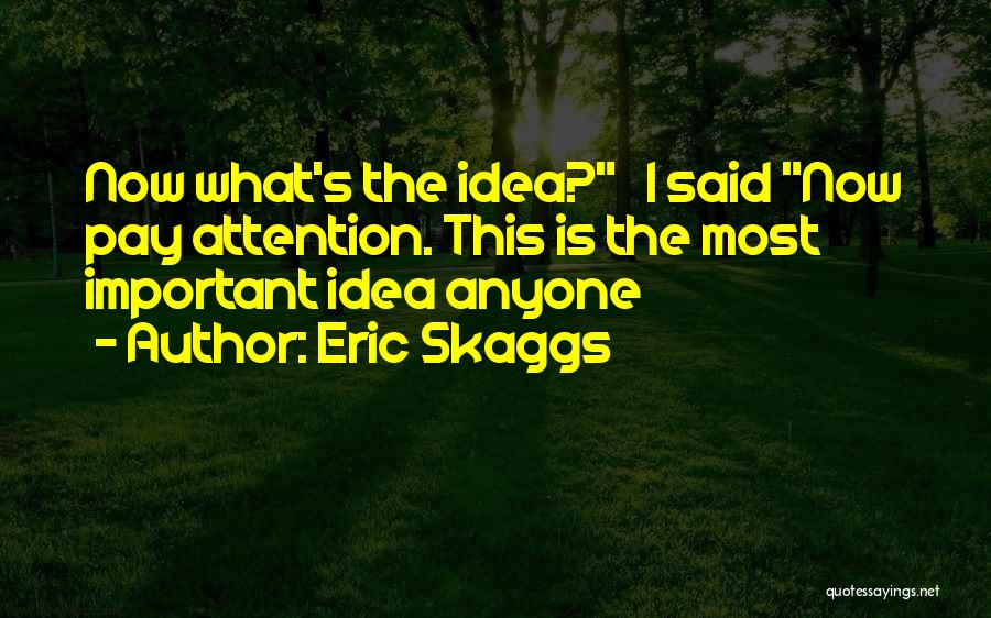 Eric Skaggs Quotes: Now What's The Idea? I Said Now Pay Attention. This Is The Most Important Idea Anyone