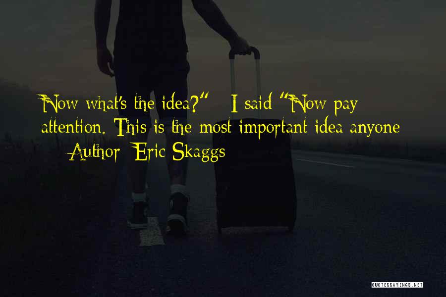 Eric Skaggs Quotes: Now What's The Idea? I Said Now Pay Attention. This Is The Most Important Idea Anyone