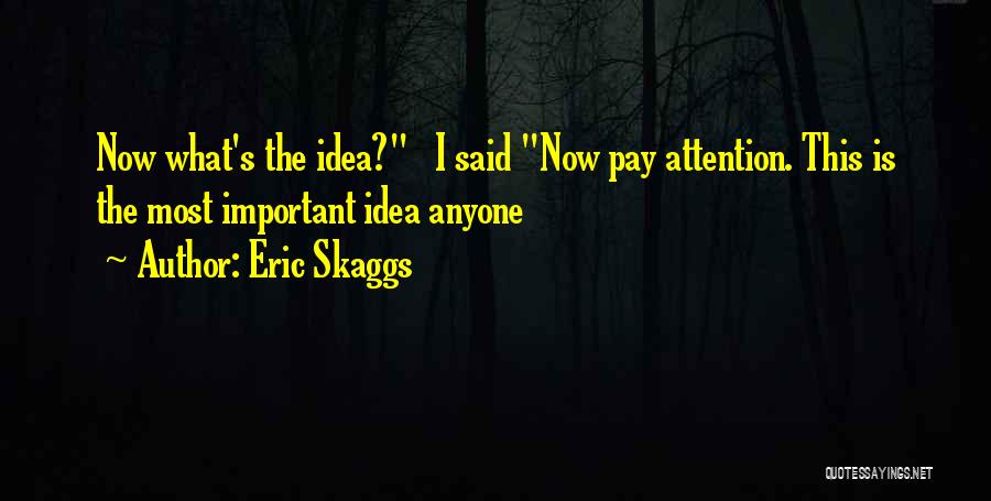 Eric Skaggs Quotes: Now What's The Idea? I Said Now Pay Attention. This Is The Most Important Idea Anyone