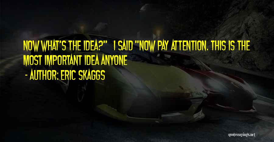 Eric Skaggs Quotes: Now What's The Idea? I Said Now Pay Attention. This Is The Most Important Idea Anyone