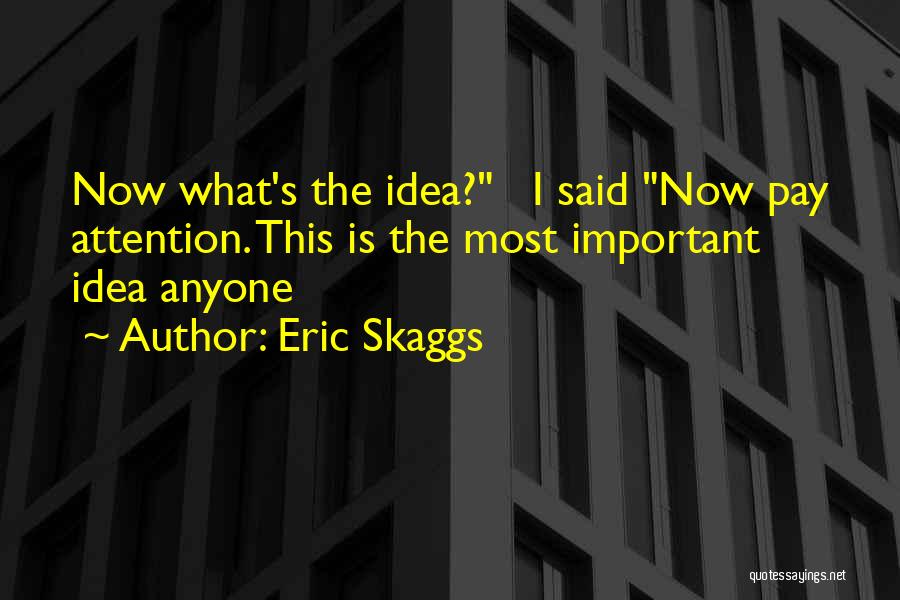 Eric Skaggs Quotes: Now What's The Idea? I Said Now Pay Attention. This Is The Most Important Idea Anyone