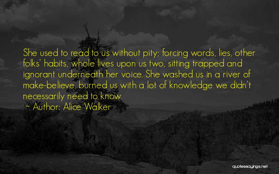 Alice Walker Quotes: She Used To Read To Us Without Pity; Forcing Words, Lies, Other Folks' Habits, Whole Lives Upon Us Two, Sitting