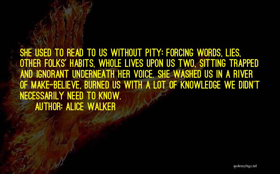 Alice Walker Quotes: She Used To Read To Us Without Pity; Forcing Words, Lies, Other Folks' Habits, Whole Lives Upon Us Two, Sitting