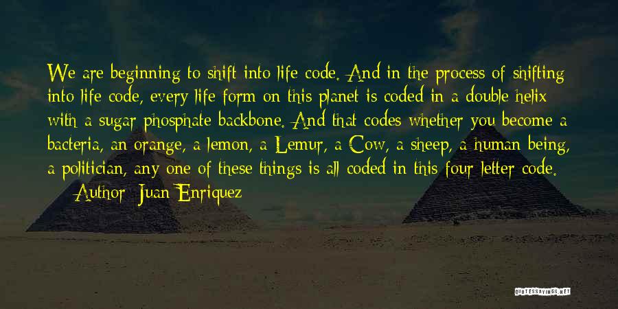 Juan Enriquez Quotes: We Are Beginning To Shift Into Life Code. And In The Process Of Shifting Into Life Code, Every Life Form