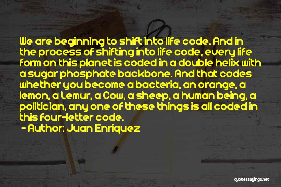 Juan Enriquez Quotes: We Are Beginning To Shift Into Life Code. And In The Process Of Shifting Into Life Code, Every Life Form