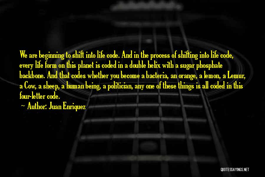 Juan Enriquez Quotes: We Are Beginning To Shift Into Life Code. And In The Process Of Shifting Into Life Code, Every Life Form
