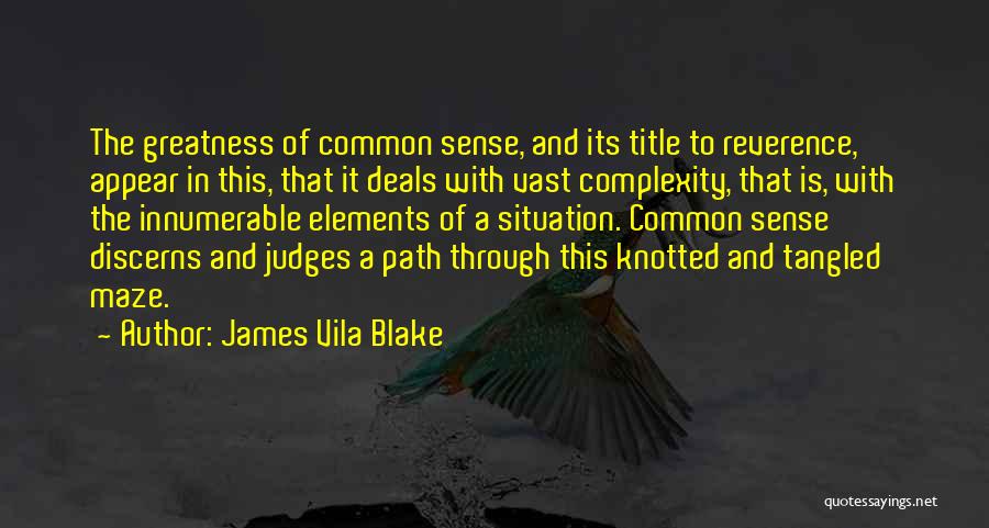 James Vila Blake Quotes: The Greatness Of Common Sense, And Its Title To Reverence, Appear In This, That It Deals With Vast Complexity, That