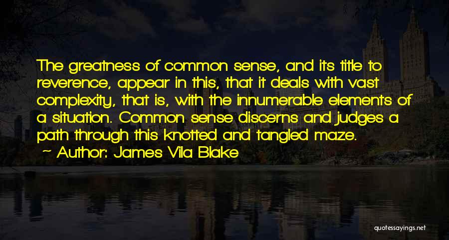 James Vila Blake Quotes: The Greatness Of Common Sense, And Its Title To Reverence, Appear In This, That It Deals With Vast Complexity, That