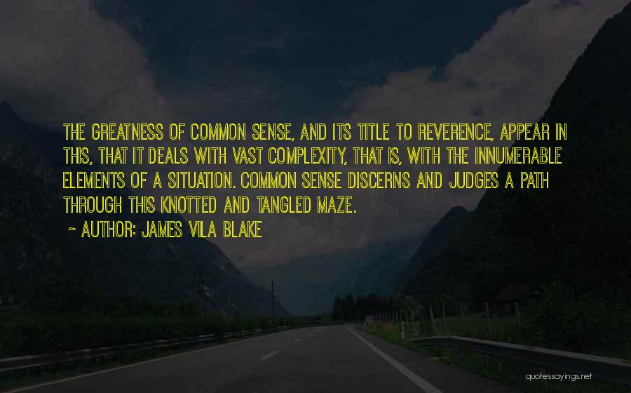 James Vila Blake Quotes: The Greatness Of Common Sense, And Its Title To Reverence, Appear In This, That It Deals With Vast Complexity, That