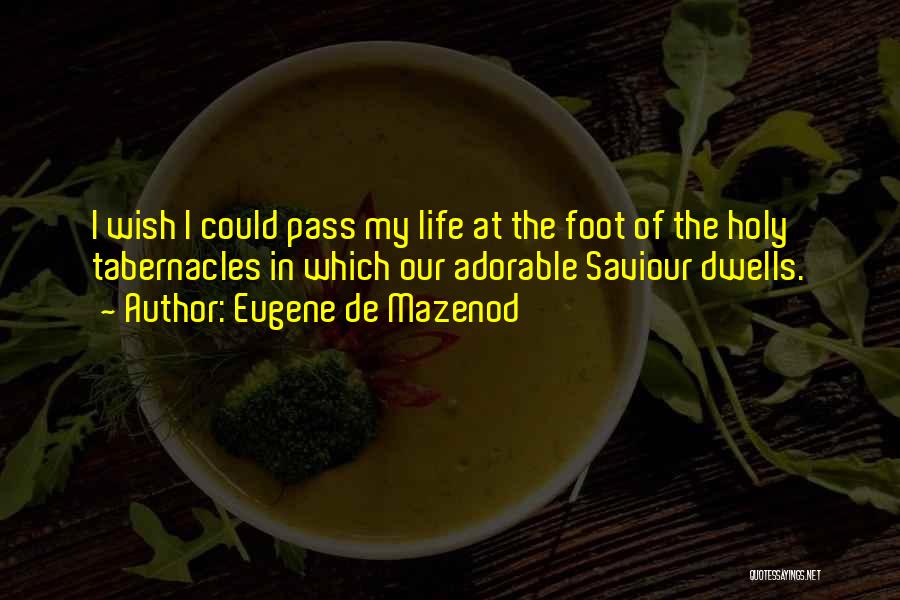 Eugene De Mazenod Quotes: I Wish I Could Pass My Life At The Foot Of The Holy Tabernacles In Which Our Adorable Saviour Dwells.