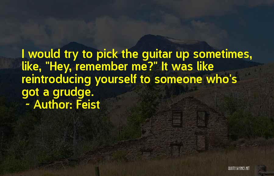 Feist Quotes: I Would Try To Pick The Guitar Up Sometimes, Like, Hey, Remember Me? It Was Like Reintroducing Yourself To Someone