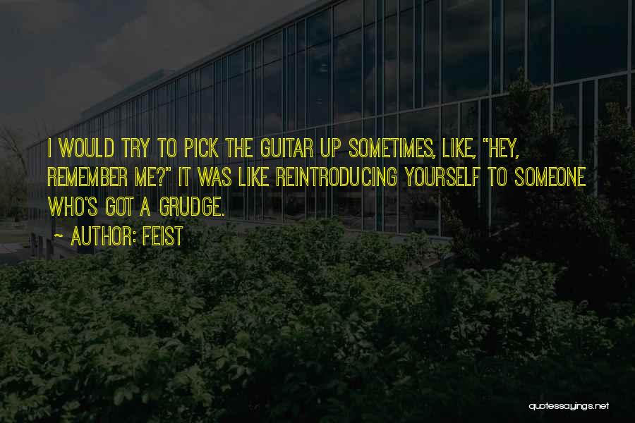 Feist Quotes: I Would Try To Pick The Guitar Up Sometimes, Like, Hey, Remember Me? It Was Like Reintroducing Yourself To Someone