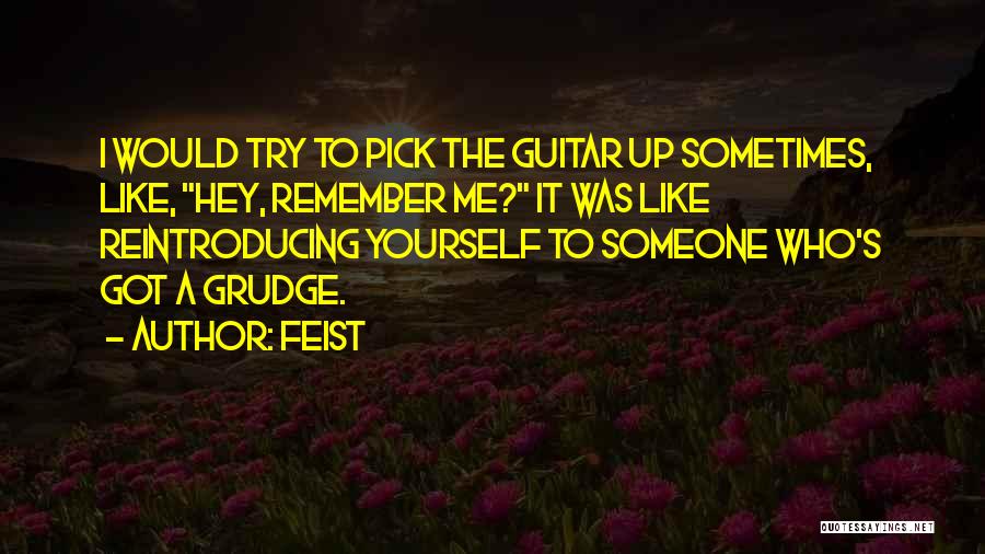 Feist Quotes: I Would Try To Pick The Guitar Up Sometimes, Like, Hey, Remember Me? It Was Like Reintroducing Yourself To Someone