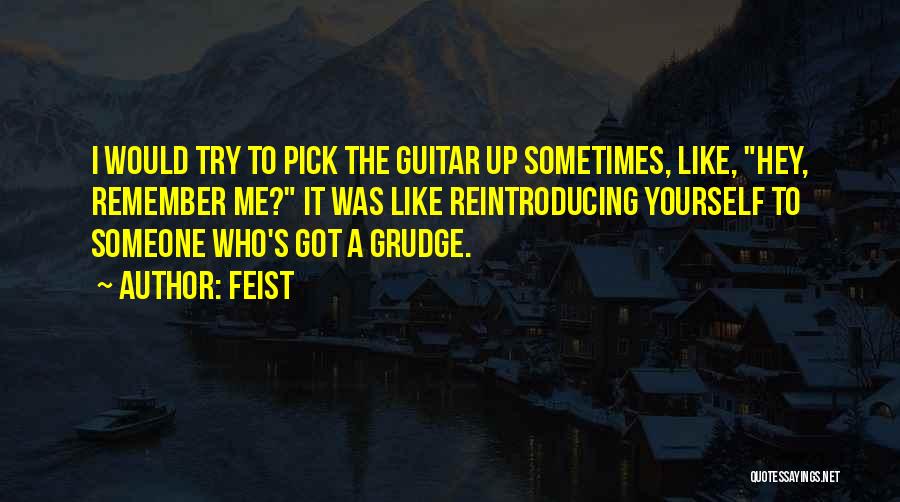 Feist Quotes: I Would Try To Pick The Guitar Up Sometimes, Like, Hey, Remember Me? It Was Like Reintroducing Yourself To Someone