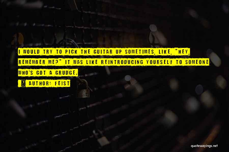 Feist Quotes: I Would Try To Pick The Guitar Up Sometimes, Like, Hey, Remember Me? It Was Like Reintroducing Yourself To Someone