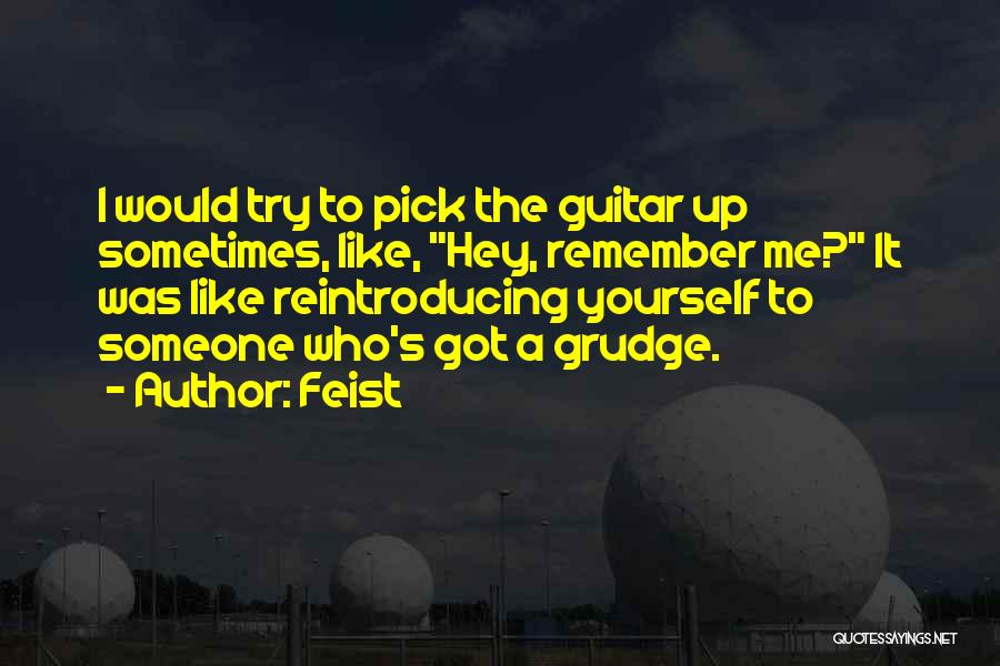Feist Quotes: I Would Try To Pick The Guitar Up Sometimes, Like, Hey, Remember Me? It Was Like Reintroducing Yourself To Someone